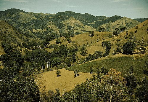 Cordillera Central (Puerto Rico)